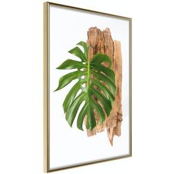 Arkiio Affisch Power of Nature [Poster] 40x60 Poster